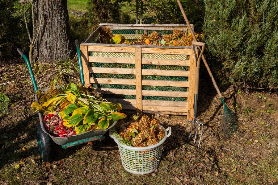 Fall Composting: What to Add and What to Avoid