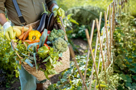 Seed-to-Plate: Summer Garden Fest