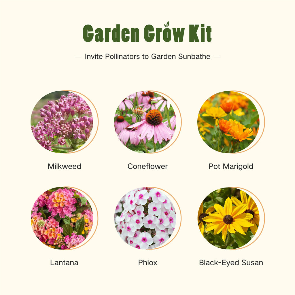 LUSH & DEW Butterfly Garden Grow Kit