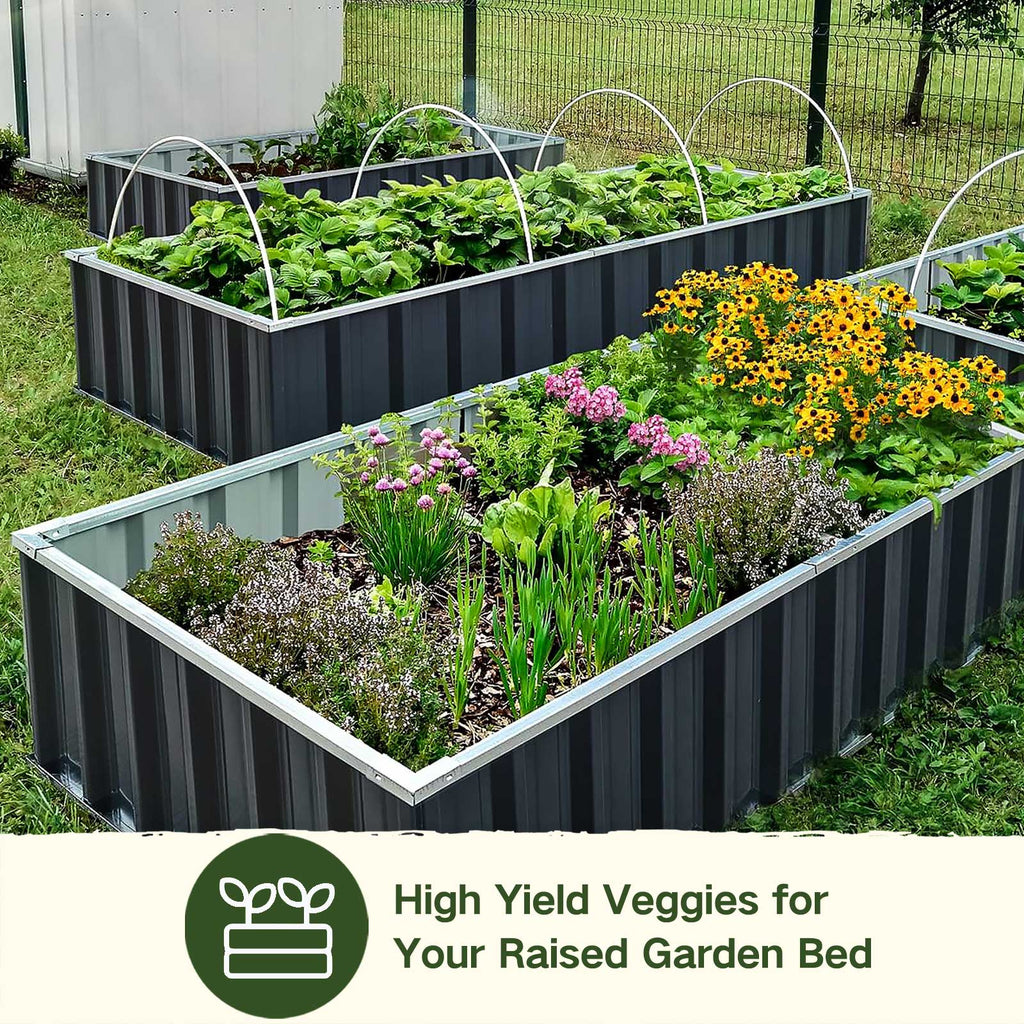LUSH & DEW High Yield Raised Beds Seed Bank