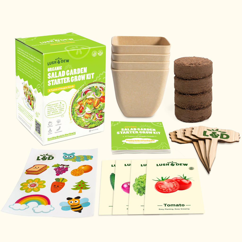 LUSH & DEW Salad Garden Starter Grow Kit