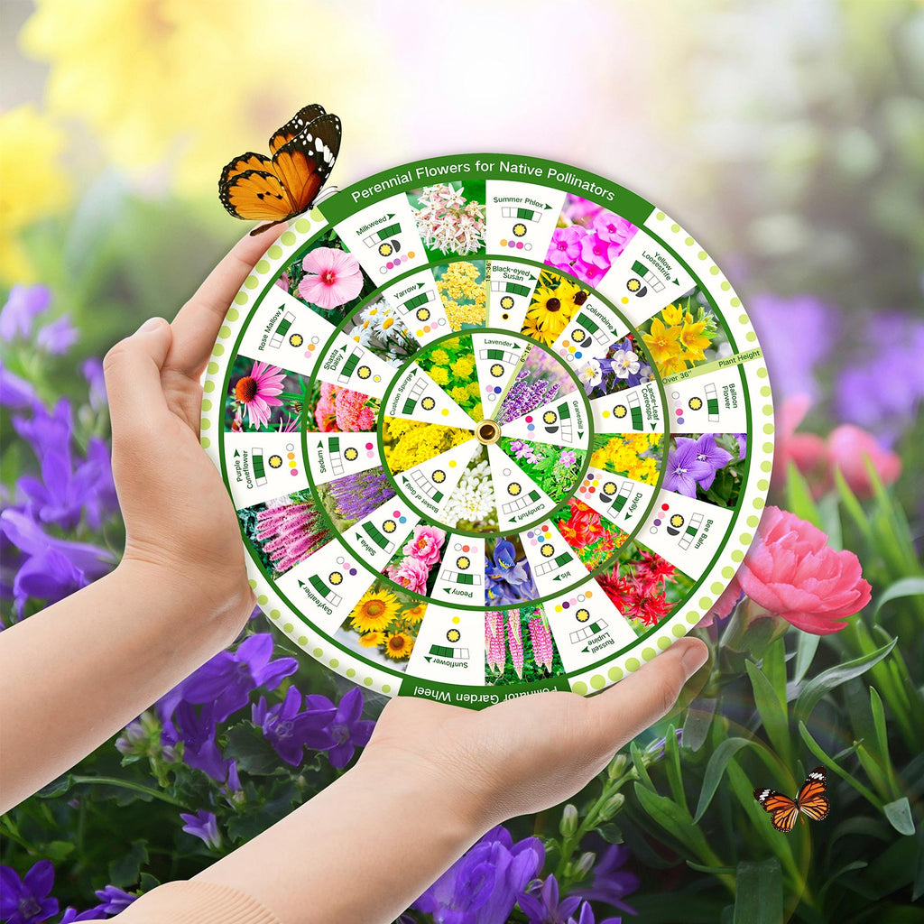 Pollinator Garden Guide | LUSH & DEW