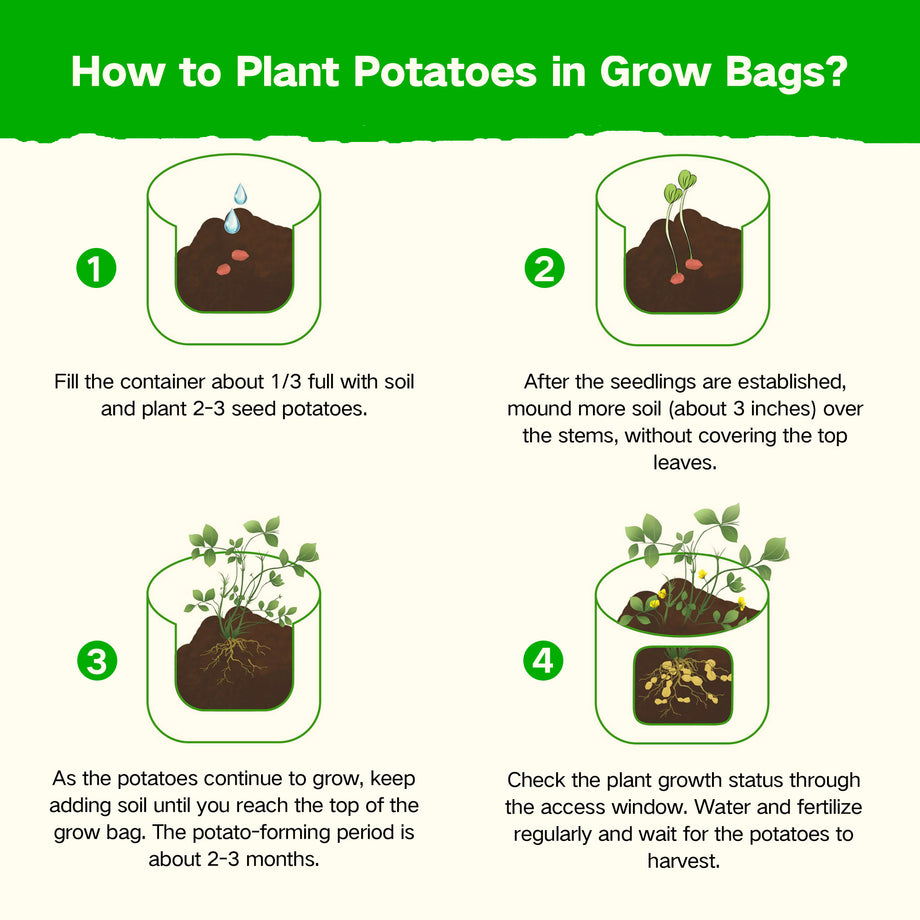  Florelf Visible Potato Grow Bags 10 Gallon with Flap