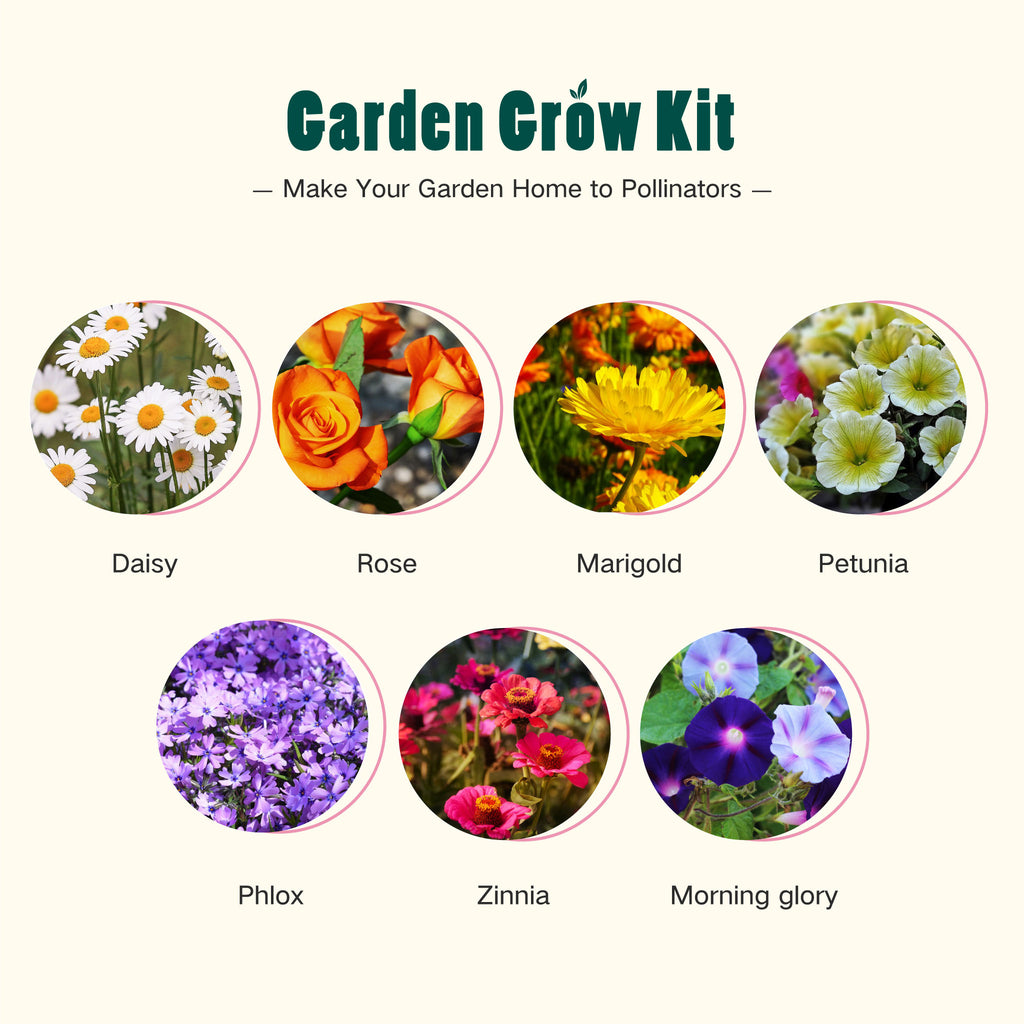 LUSH & DEW Rainbow Garden Grow Kit